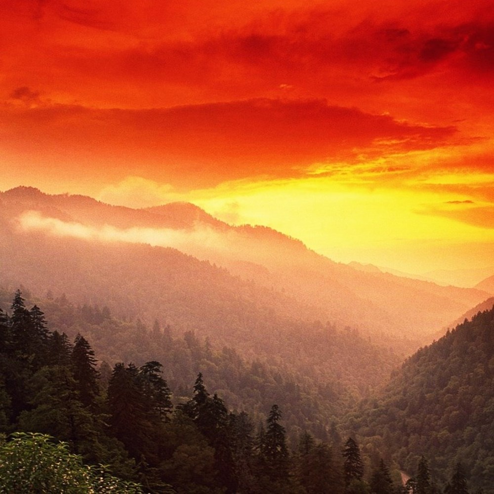 Meet your Posher, Shirley